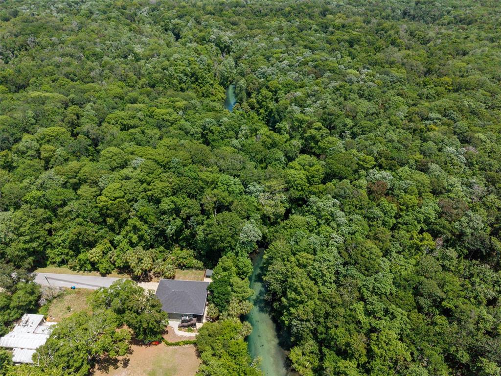 6762 East Richard Drive Weeki Wachee, FL 34607 - Photo 77 of 91