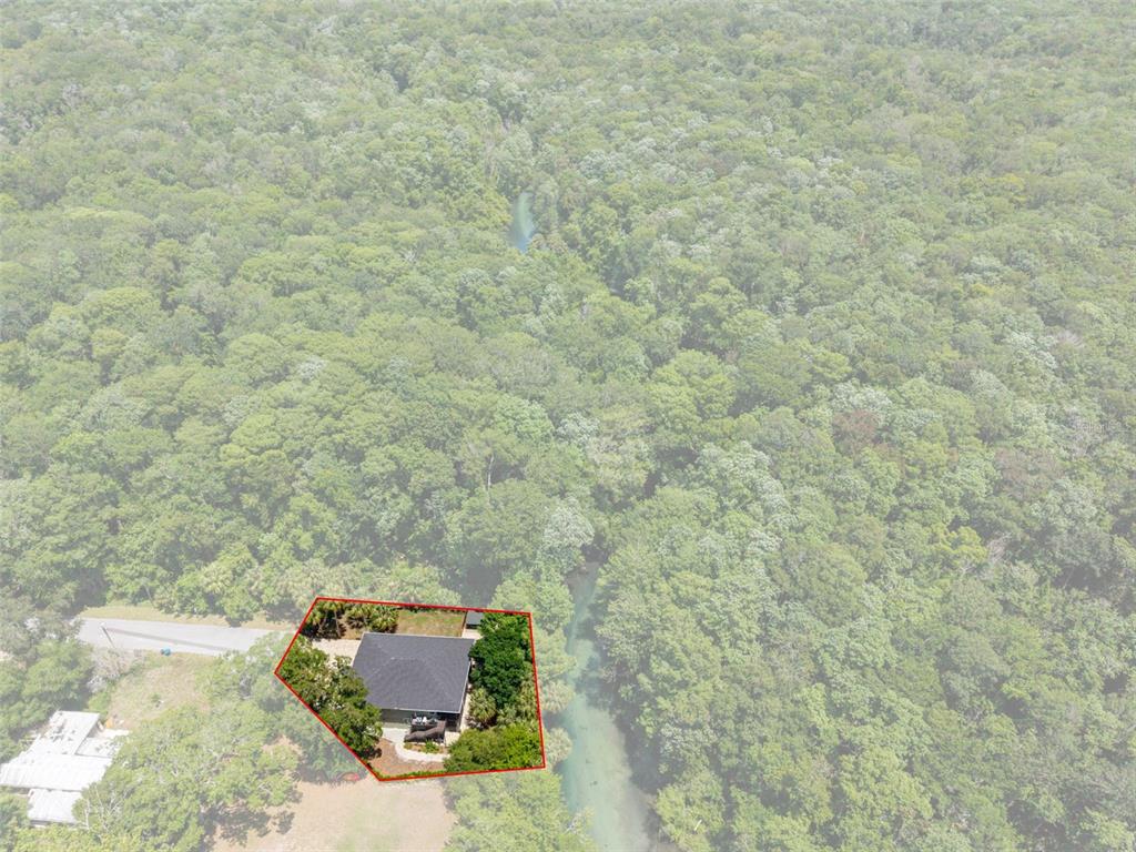 6762 East Richard Drive Weeki Wachee, FL 34607 - Photo 78 of 91