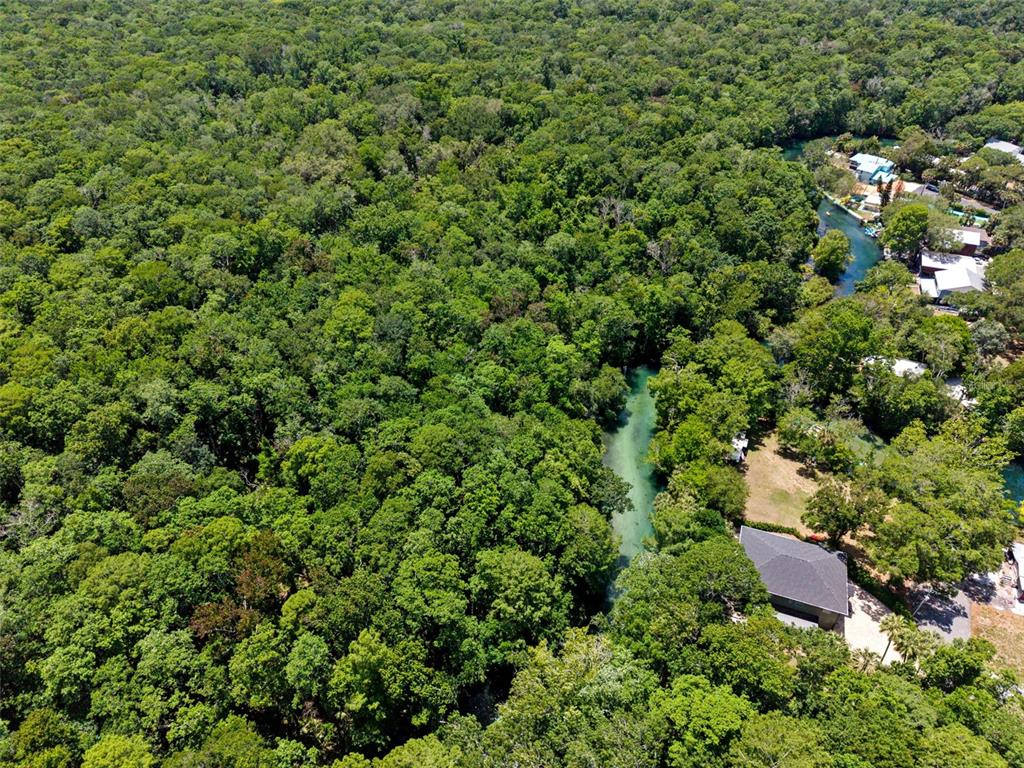 6762 East Richard Drive Weeki Wachee, FL 34607 - Photo 79 of 91