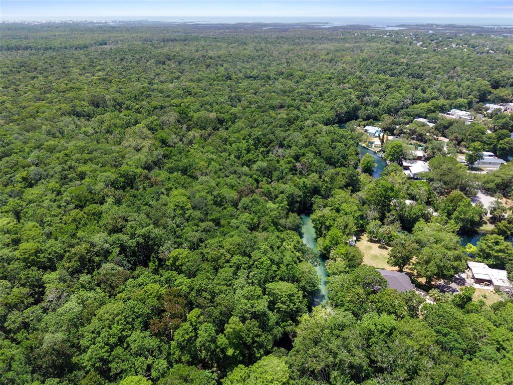 6762 East Richard Drive Weeki Wachee, FL 34607 - Photo 80 of 91