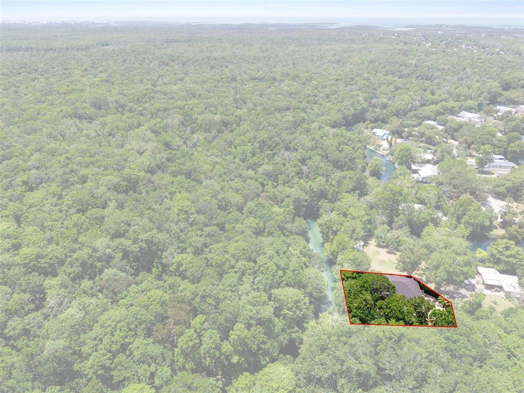 6762 East Richard Drive Weeki Wachee, FL 34607 - Photo 81 of 91