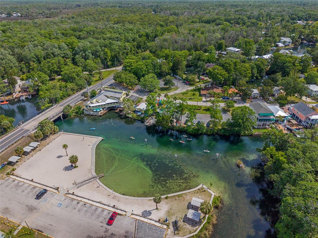 6762 East Richard Drive Weeki Wachee, FL 34607 - Photo 88 of 91
