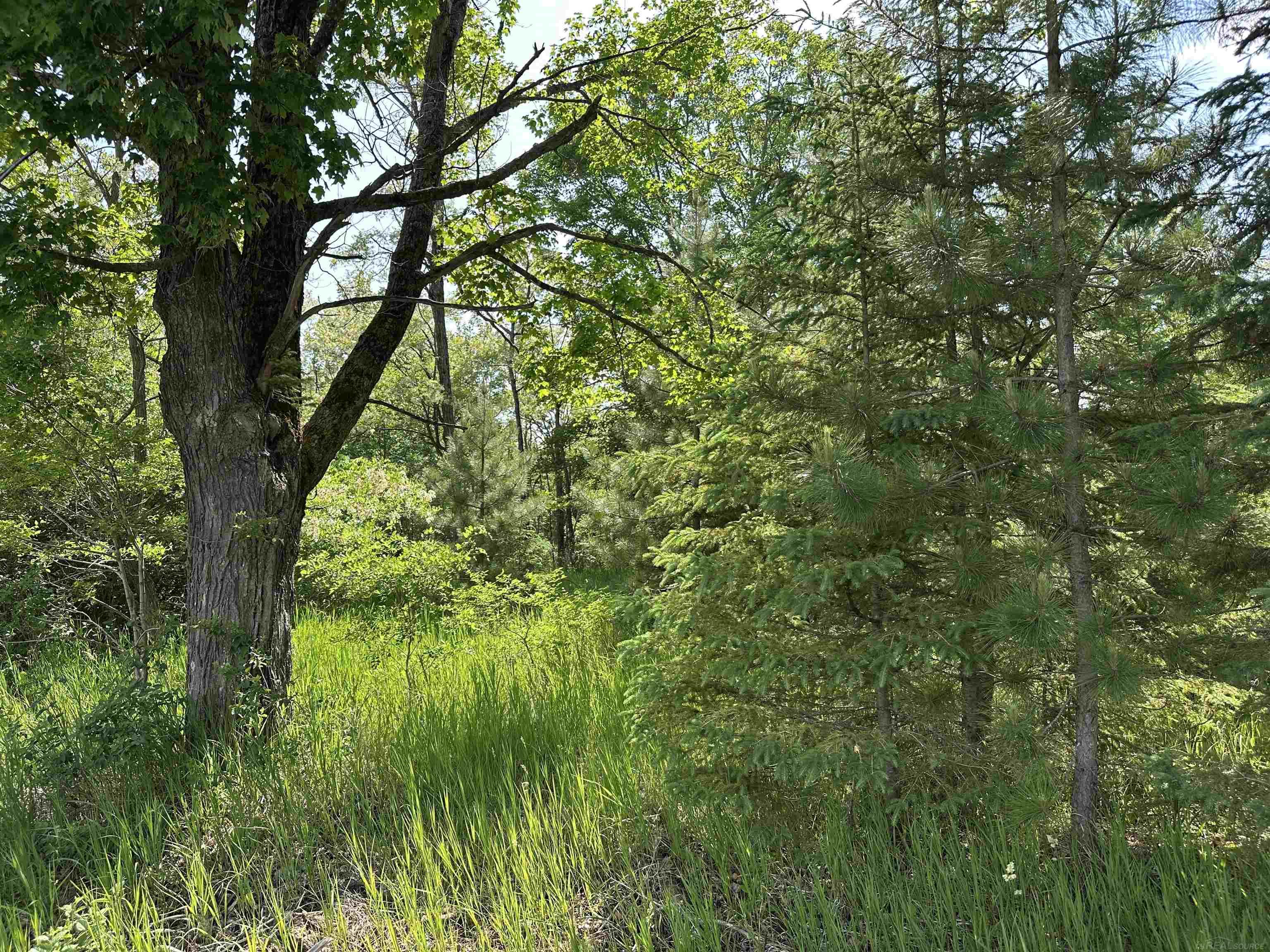 N17375 Co Road Hermansville, MI 49847 - Photo 7 of 26