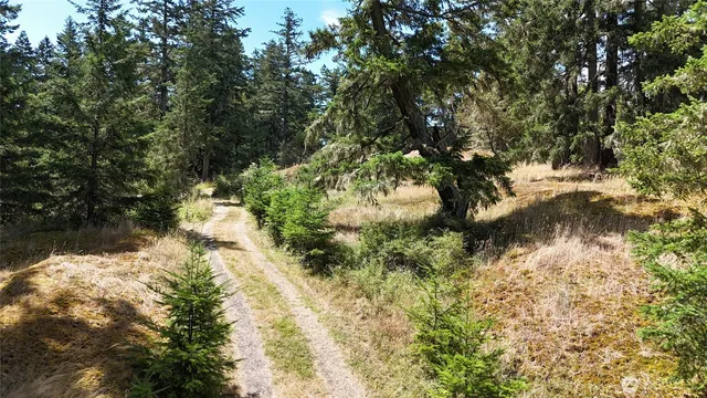 $349,000 | 0 Woodpecker Lane, Friday Harbor, WA 98250