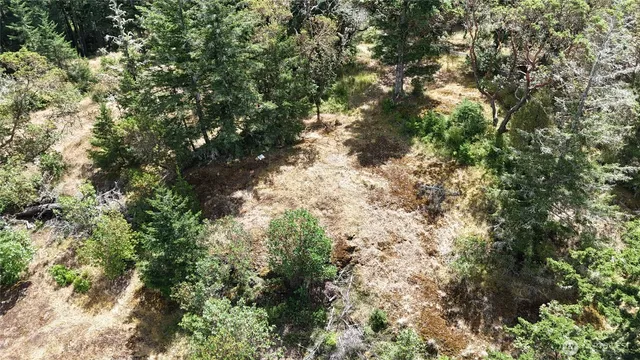 $349,000 | 0 Woodpecker Lane, Friday Harbor, WA 98250