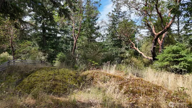 $349,000 | 0 Woodpecker Lane, Friday Harbor, WA 98250