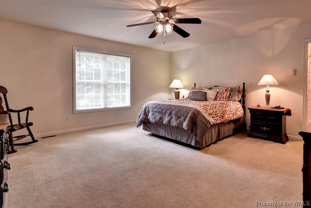 5833 Centerville Road Williamsburg, VA 23188 - Photo 24 of 33 Gallery Image 24