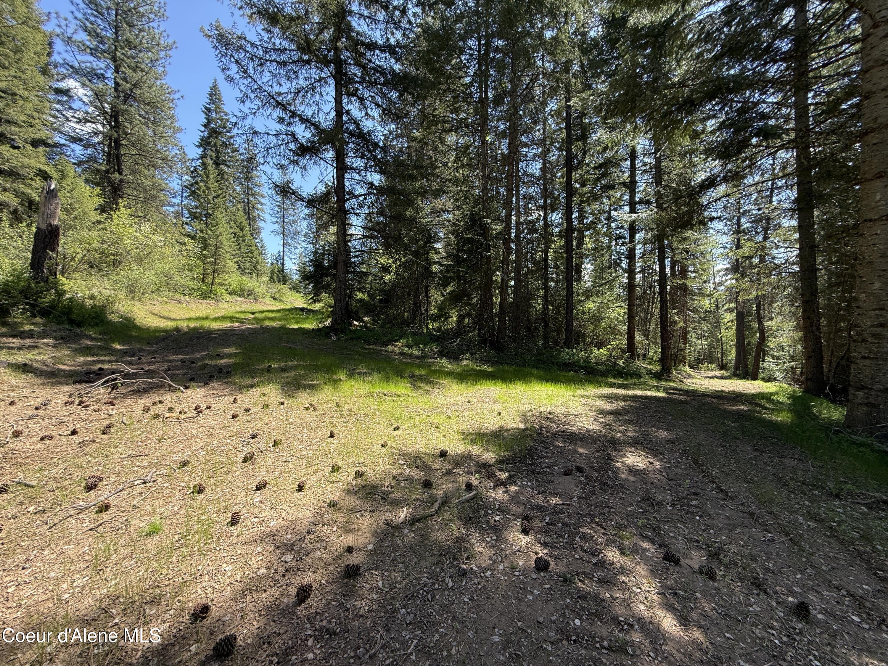 968 Ranch Road Kingston, ID 83839 - Photo 23 of 26 23