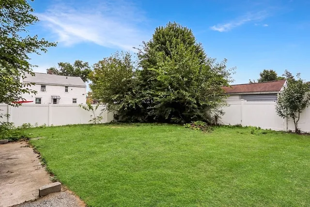 a view of a backyard with plants and large trees