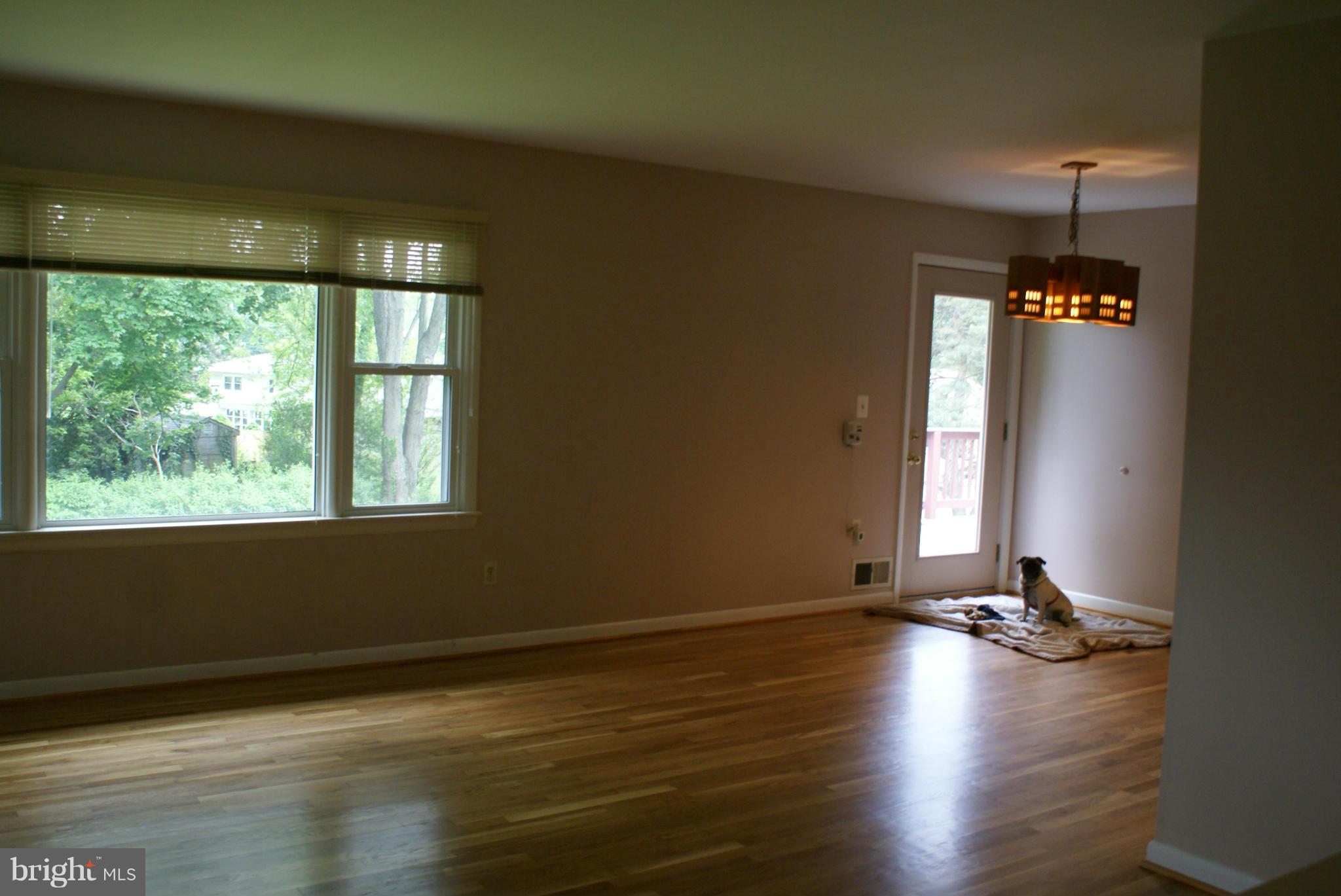 Dining Room/Living Room