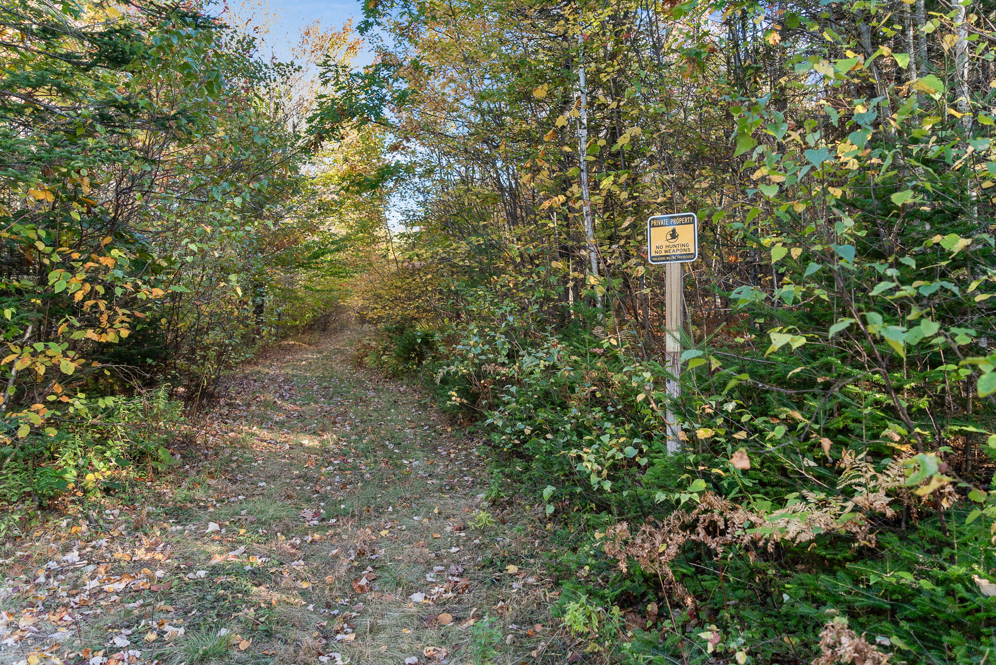 219 Outlook Road Bryant Pond, ME 04219 - Photo 40 of 43 219 Outlook-32