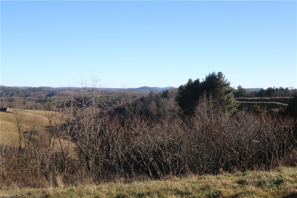 0 Horse Ridge Road Northwest Willis, VA 24380 - Photo 4 of 8