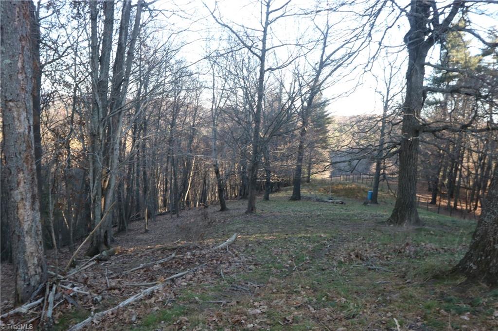 0 Horse Ridge Road Northwest Willis, VA 24380 - Photo 5 of 8