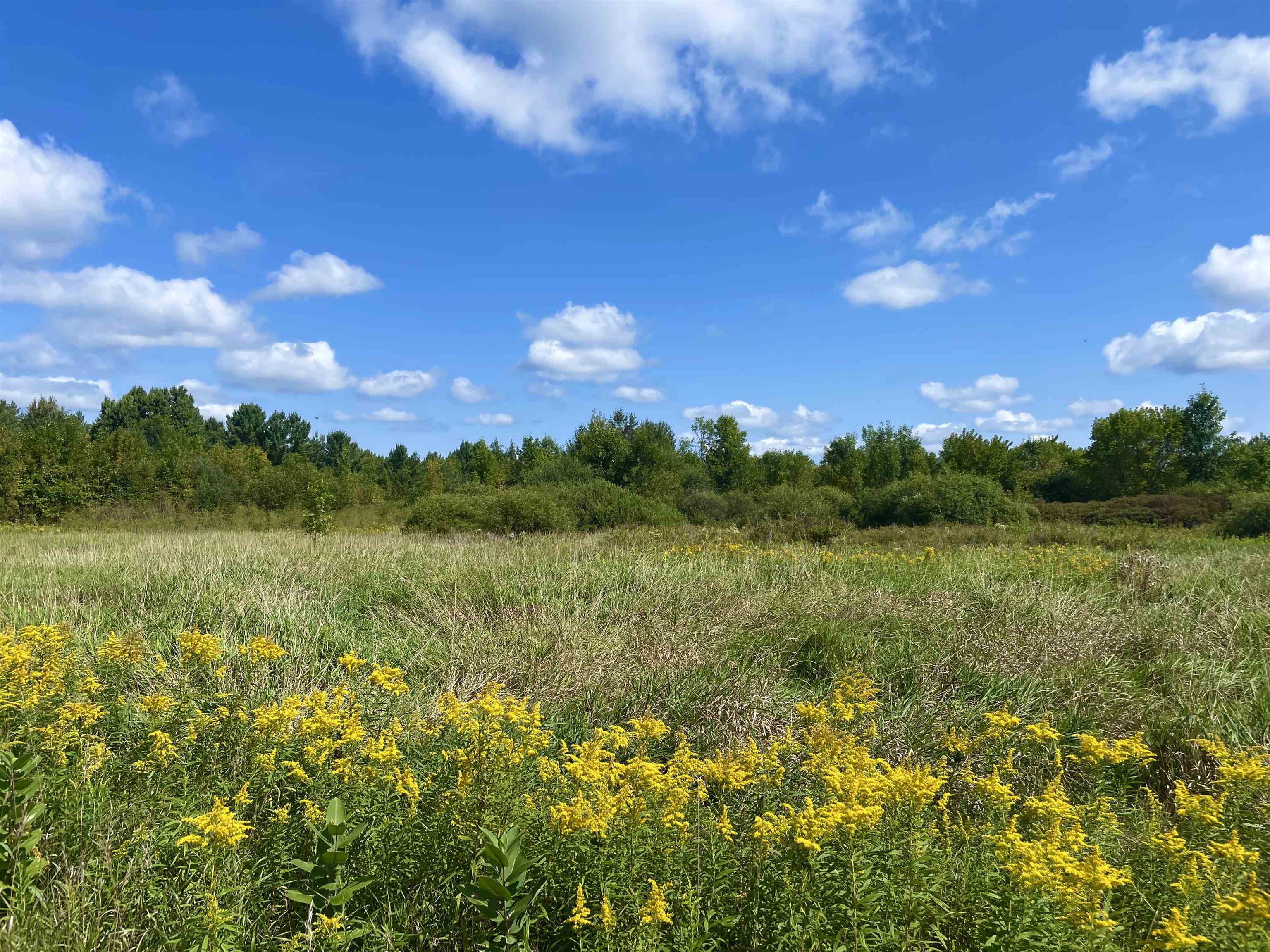 Wirtz Road Gladwin, MI 48624 - Photo 3 of 18