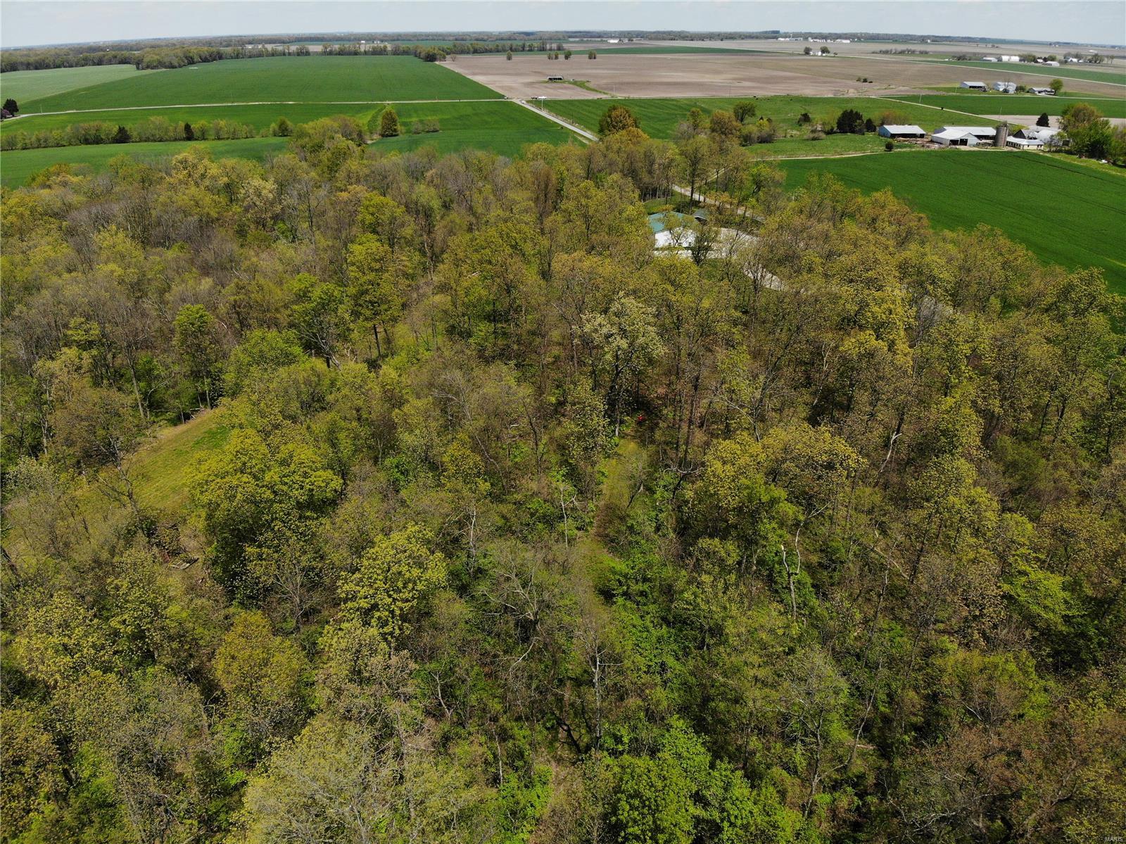 4697 Cleveland Road Oakdale, IL 62268 - Photo 11 of 29