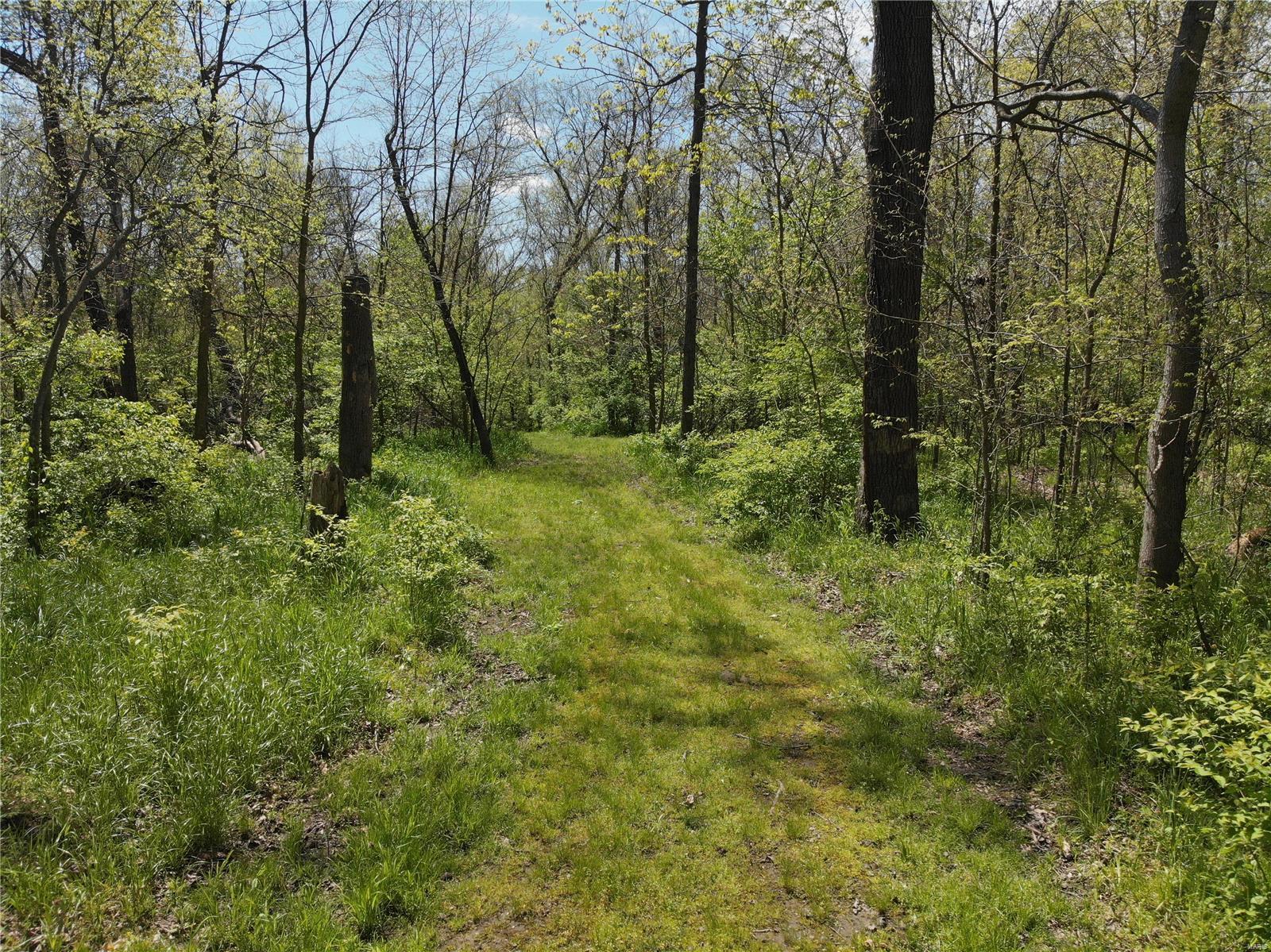 4697 Cleveland Road Oakdale, IL 62268 - Photo 12 of 29