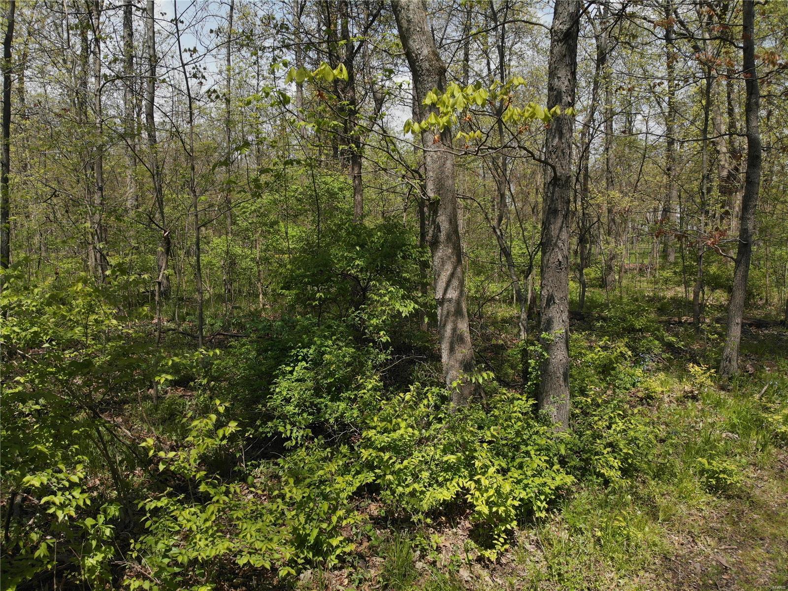 4697 Cleveland Road Oakdale, IL 62268 - Photo 13 of 29