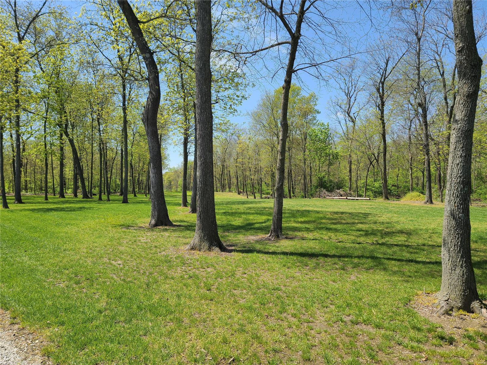 4697 Cleveland Road Oakdale, IL 62268 - Photo 21 of 29