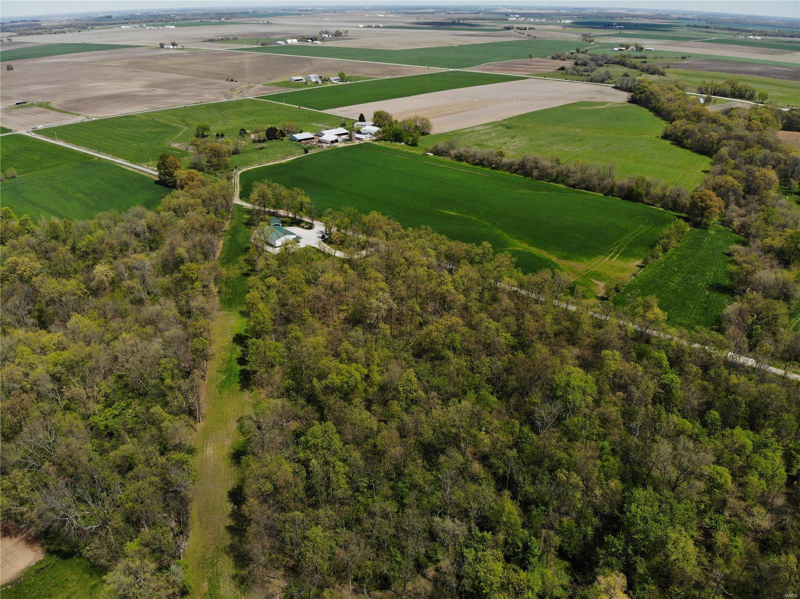 4697 Cleveland Road Oakdale, IL 62268 - Photo 8 of 29