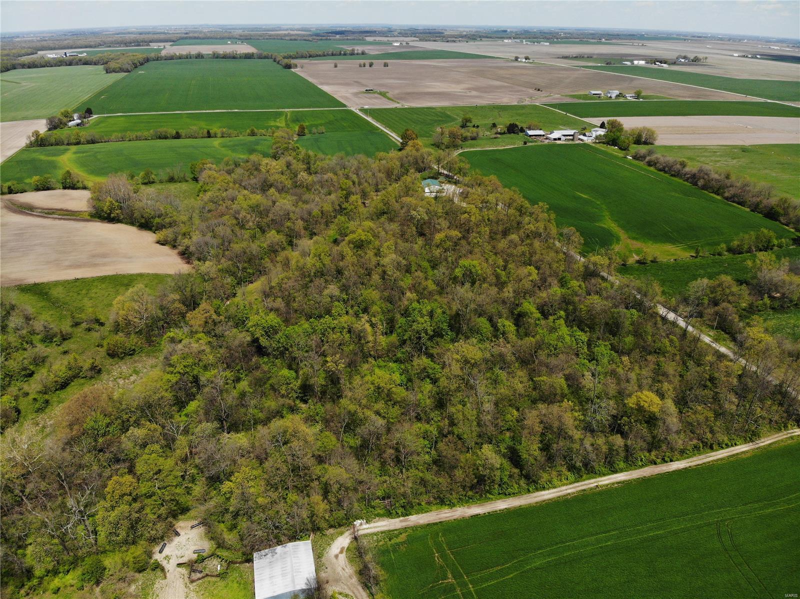 4697 Cleveland Road Oakdale, IL 62268 - Photo 9 of 29