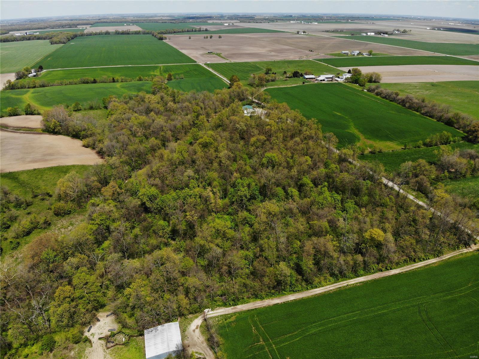 4697 Cleveland Road Oakdale, IL 62268 - Photo 10 of 29