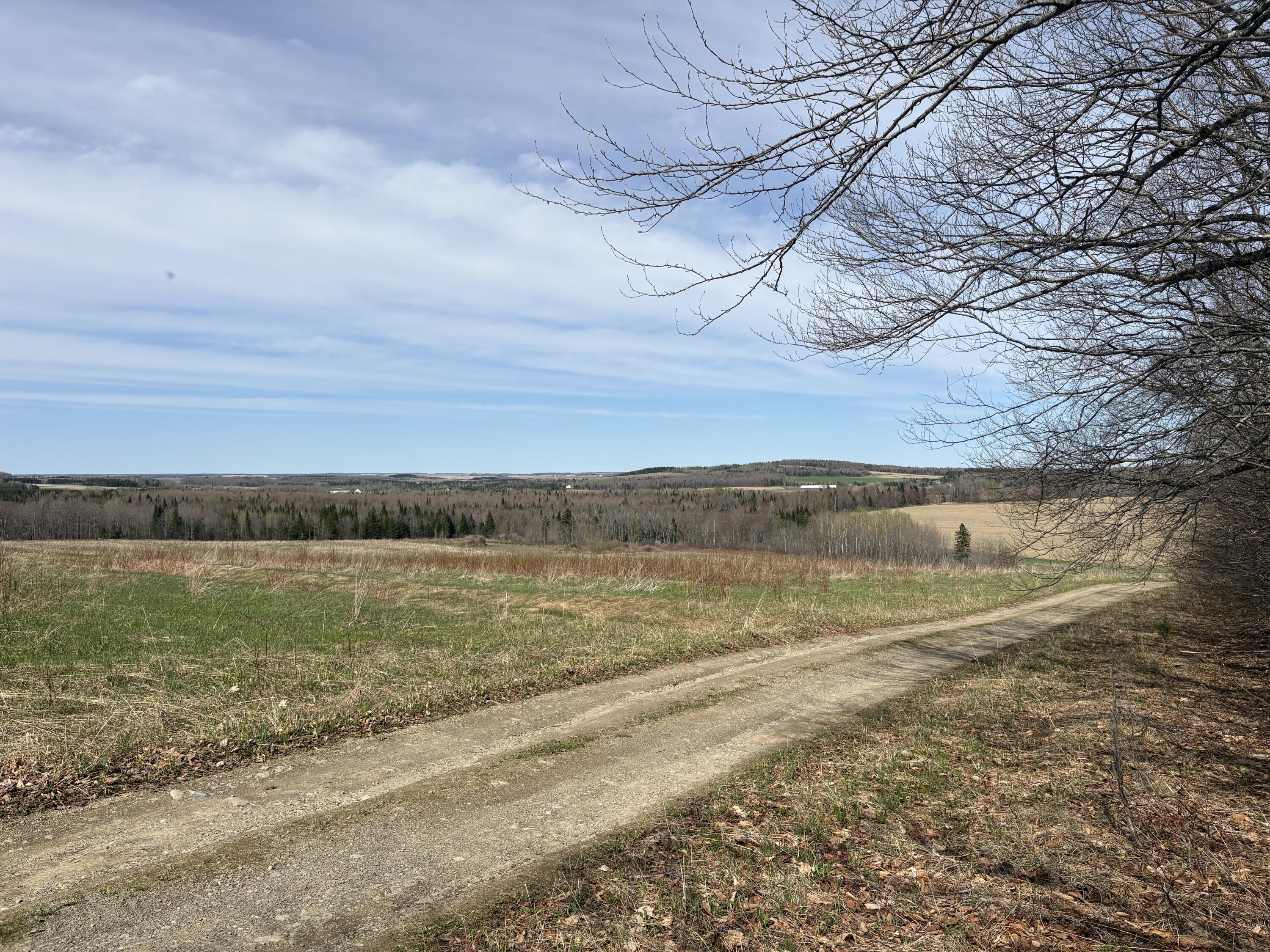 Lot 12 Off Conant (end Of Johnson Rd) Road Fort Fairfield, ME 04742 - Photo 9 of 10