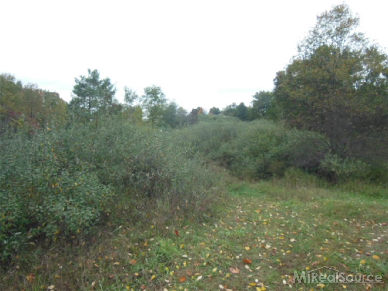 0 East Brocker Road Metamora, MI 48455 - Photo 1 of 4 31168991.JPG