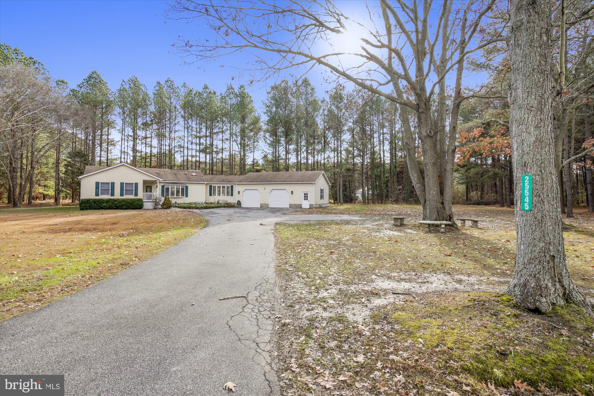 25545 Chance Farm Road St. Michaels, MD 21663 - Photo 2 of 47 Front driveway