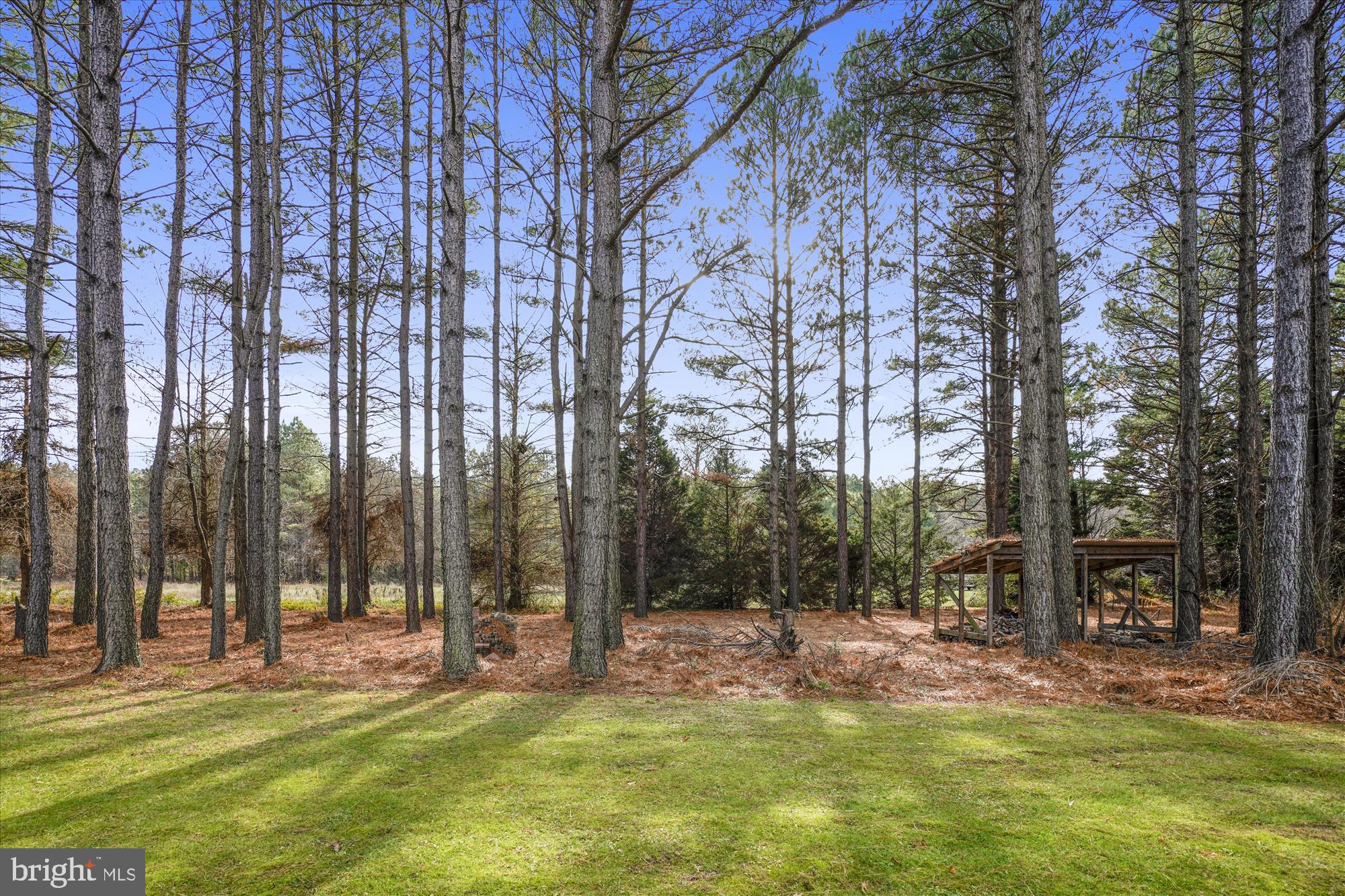 25545 Chance Farm Road St. Michaels, MD 21663 - Photo 39 of 47 View