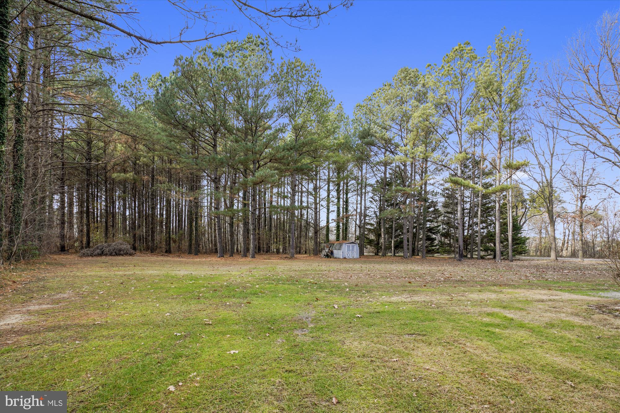 25545 Chance Farm Road St. Michaels, MD 21663 - Photo 40 of 47 Side yard