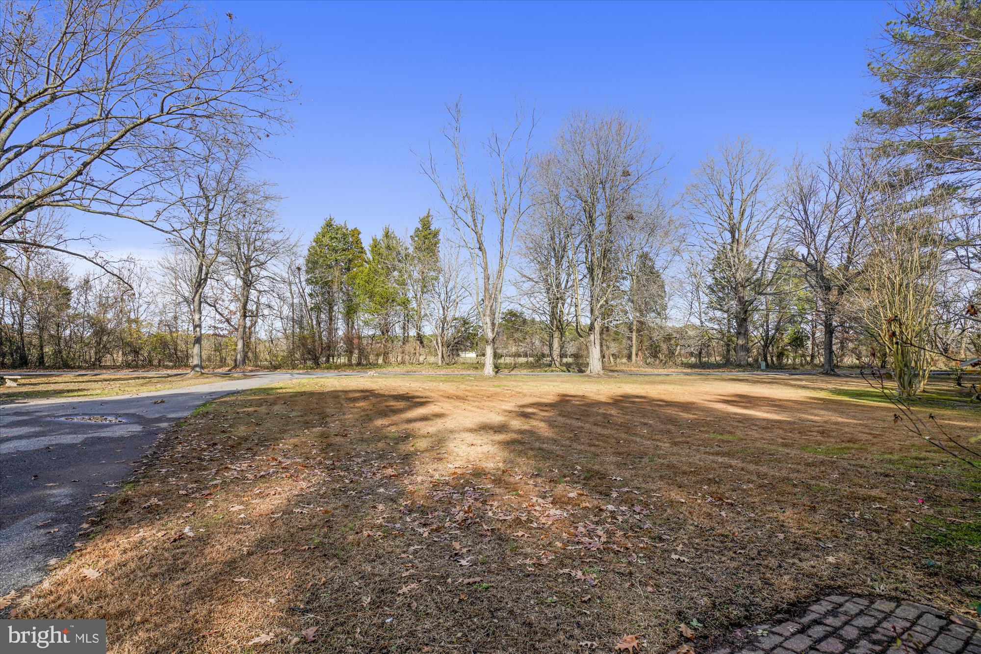25545 Chance Farm Road St. Michaels, MD 21663 - Photo 43 of 47 Front view