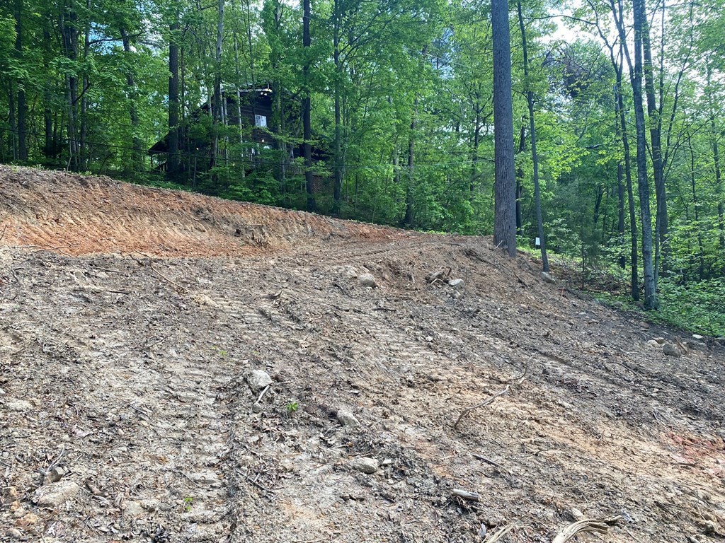 1615 South Mountain View Road Sevierville, TN 37876 - Photo 14 of 15 Gallery Image 14
