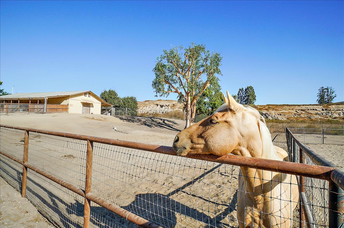 4875 Hapgood Road Lompoc, CA 93436 - Photo 2 of 52 A650900