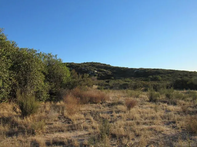a view of a lake with mountains in the background