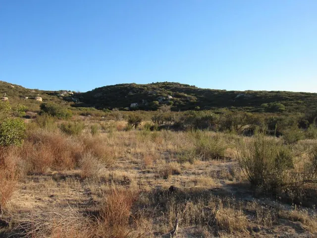 a view of a lake with mountains in the background