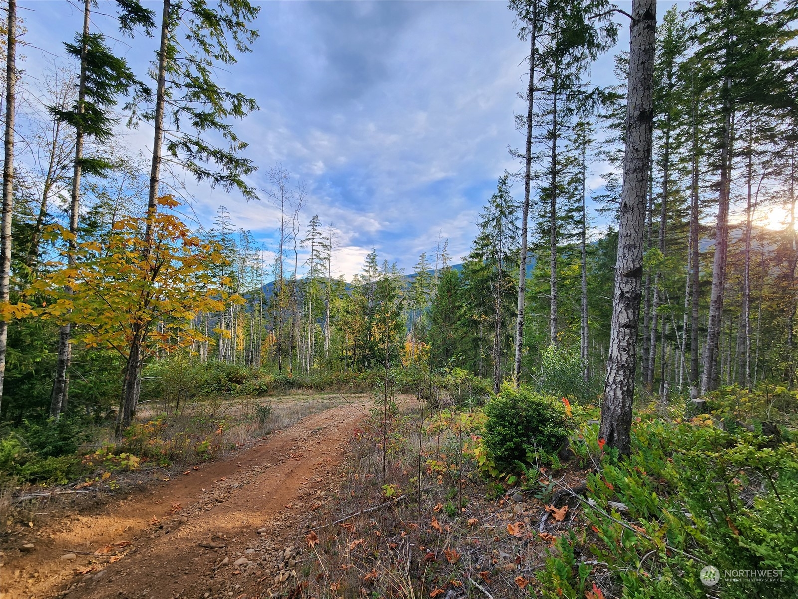 0 Rocky Brook Road, Unit LOT K Brinnon, WA 98320 - Photo 11 of 19 a view of a city with tall trees