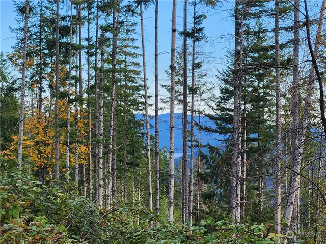 an outdoor view of a house with a tree