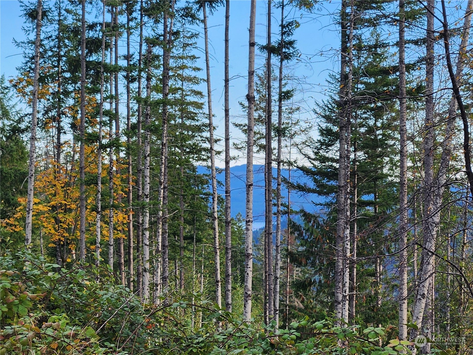 0 Rocky Brook Road, Unit LOT K Brinnon, WA 98320 - Photo 13 of 19