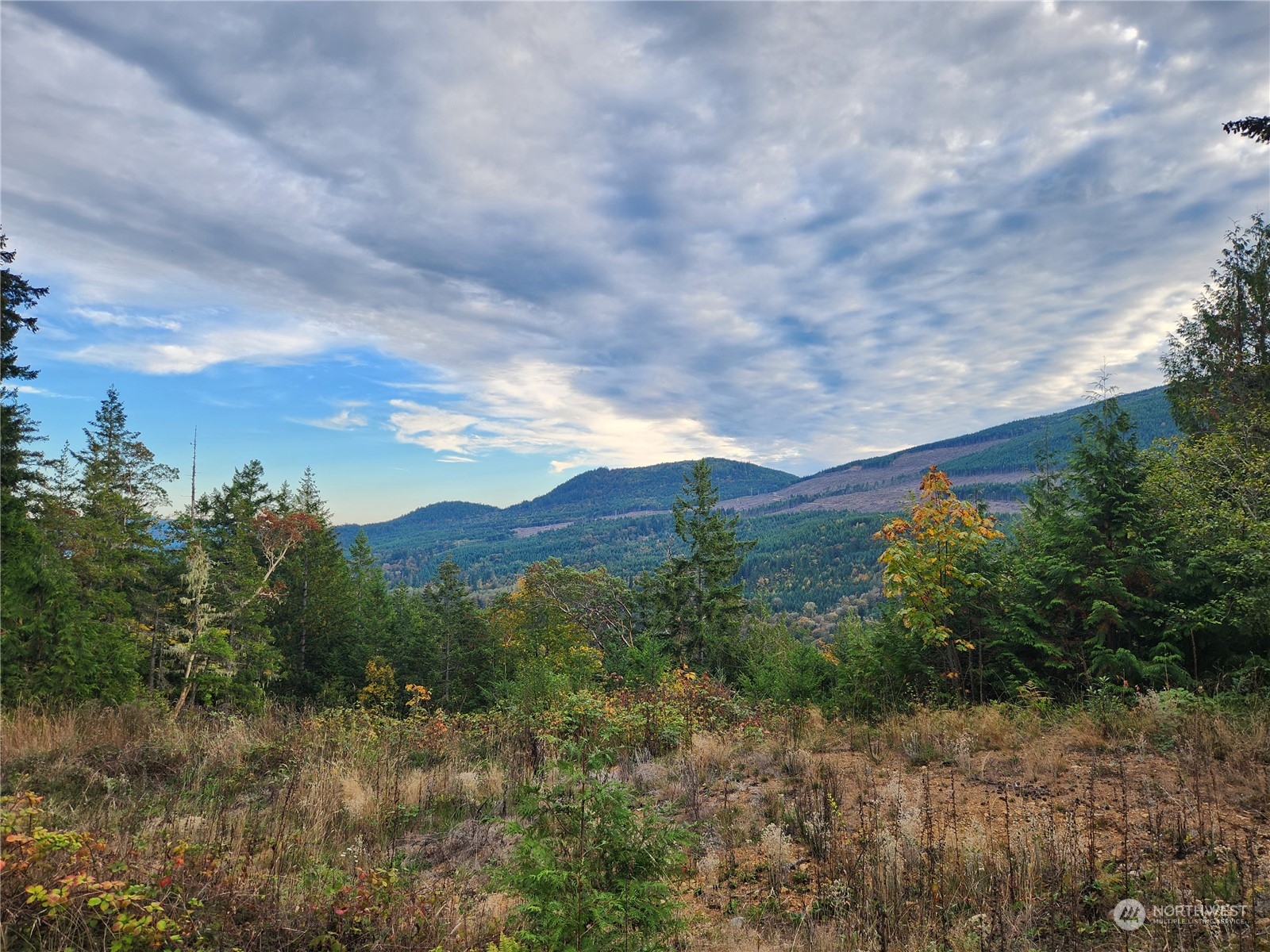 0 Rocky Brook Road, Unit LOT K Brinnon, WA 98320 - Photo 16 of 19 a view of a city with lush green forest