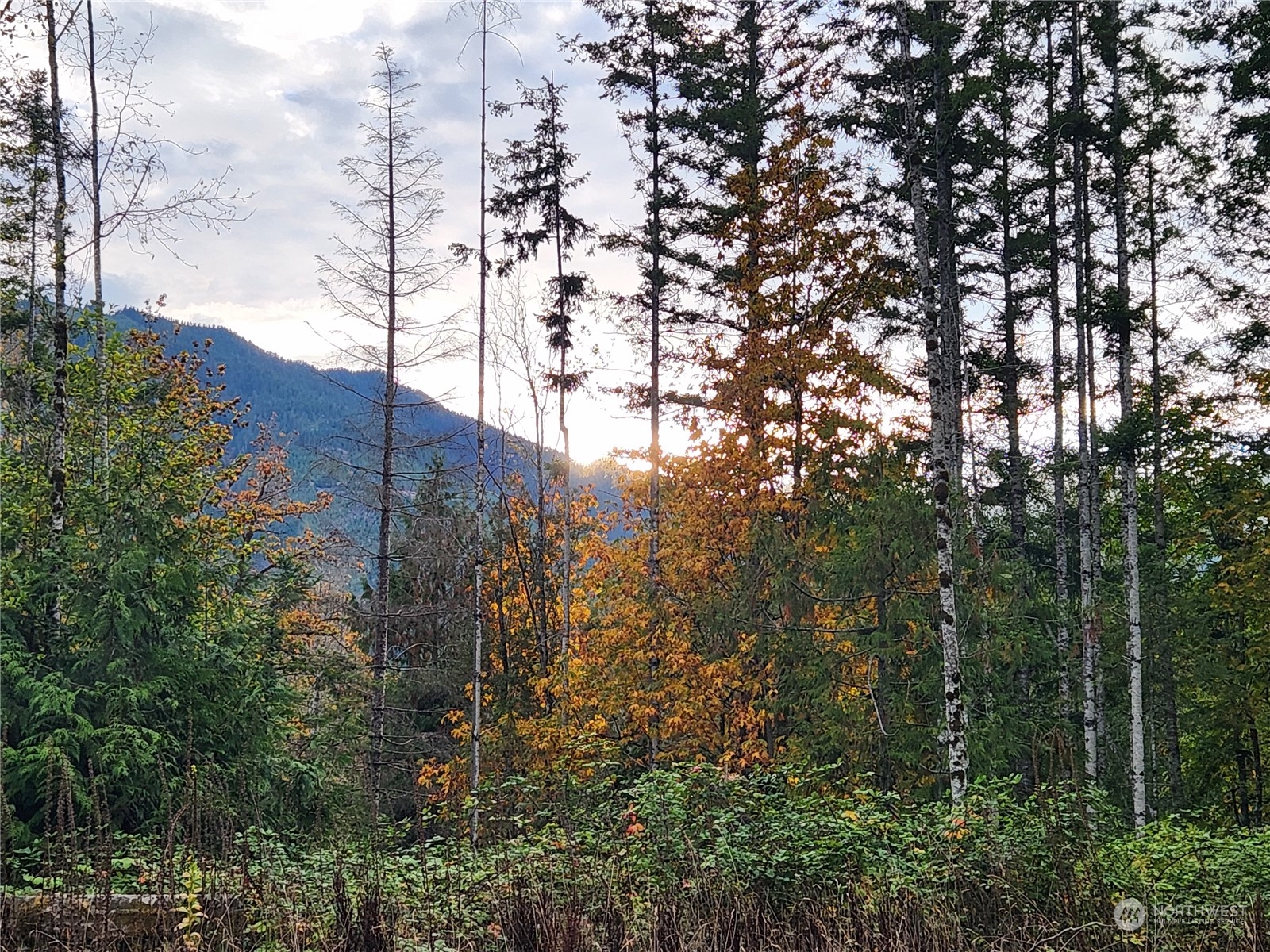 0 Rocky Brook Road, Unit LOT K Brinnon, WA 98320 - Photo 17 of 19 a view of lake
