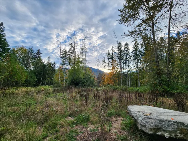 a view of a lake view with large trees