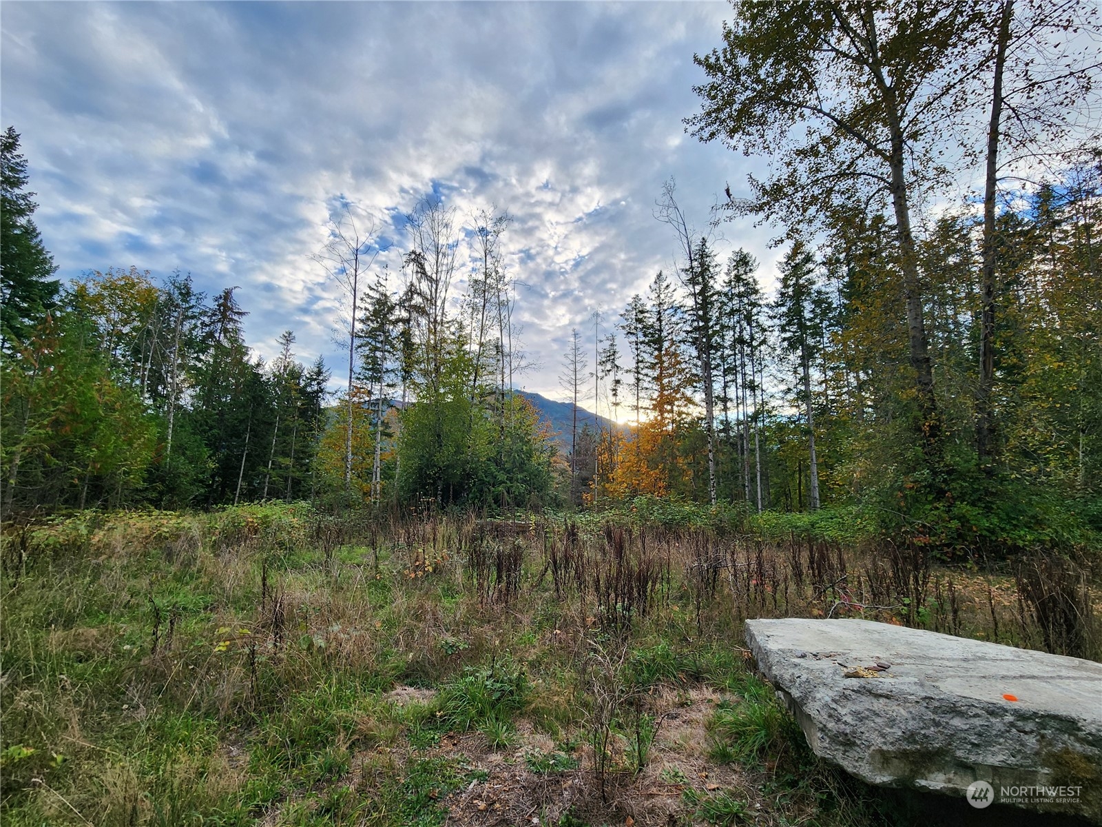 0 Rocky Brook Road, Unit LOT K Brinnon, WA 98320 - Photo 18 of 19 a view of a backyard