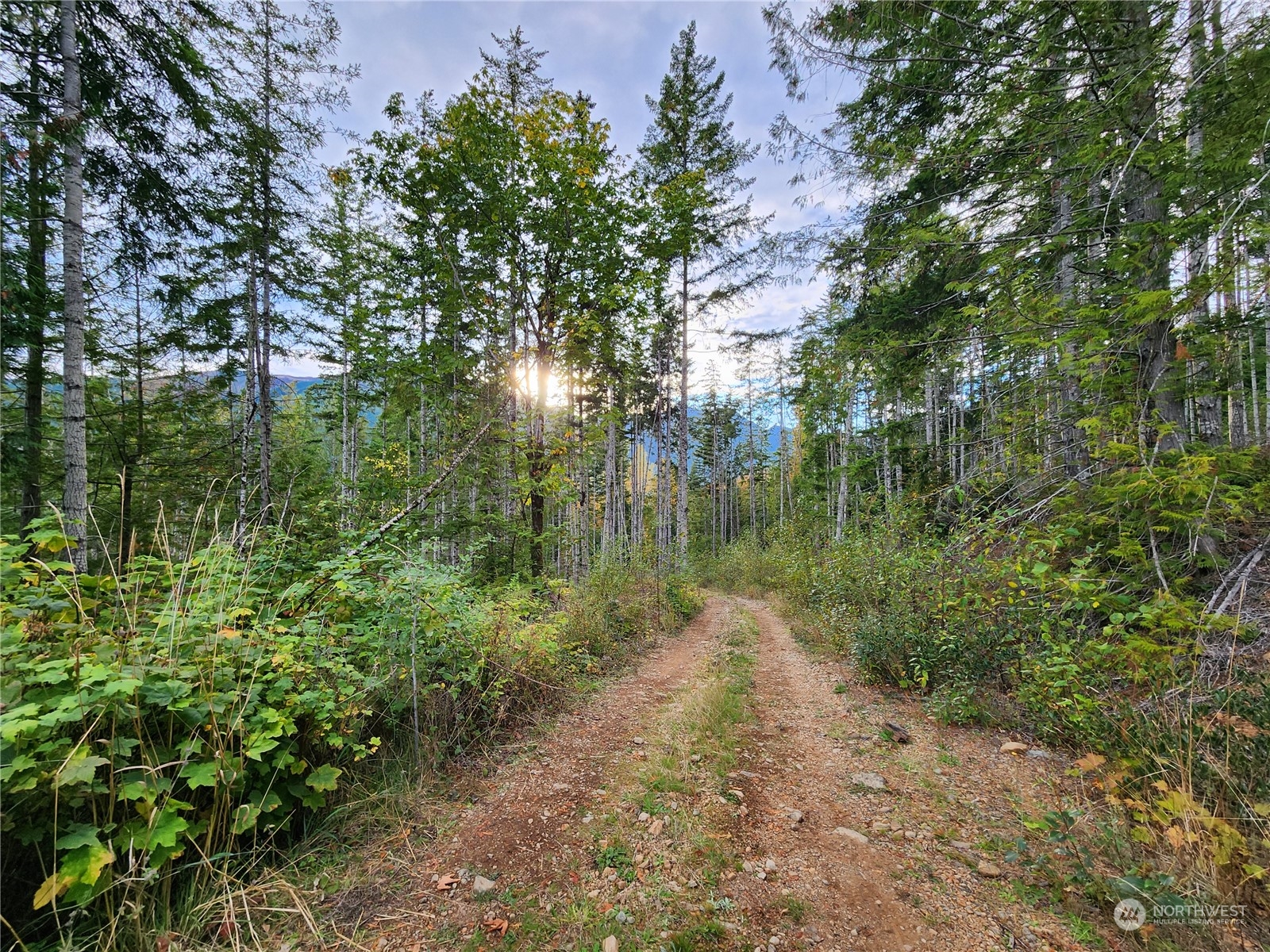 0 Rocky Brook Road, Unit LOT K Brinnon, WA 98320 - Photo 19 of 19 a view of a lake view with large trees