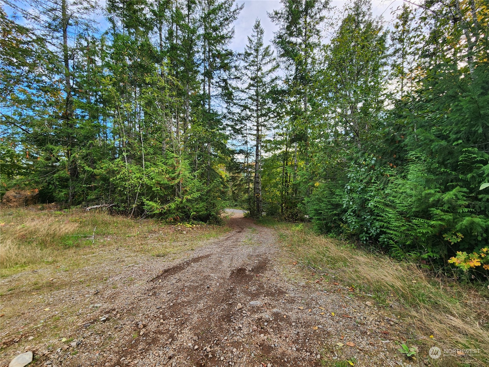 0 Rocky Brook Road, Unit LOT K Brinnon, WA 98320 - Photo 2 of 19 a view of a yard with a tree