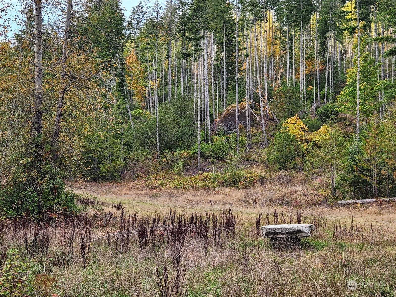 0 Rocky Brook Road, Unit LOT K Brinnon, WA 98320 - Photo 4 of 19 a backyard of a house with lots of green space