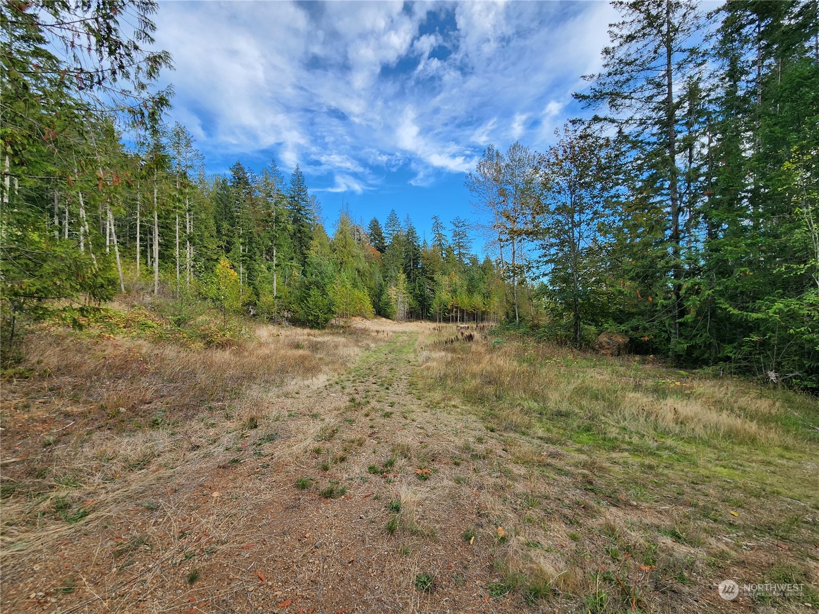 0 Rocky Brook Road, Unit LOT K Brinnon, WA 98320 - Photo 5 of 19 a view of a field with trees in the background