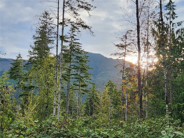 a view of a yard in front of the house