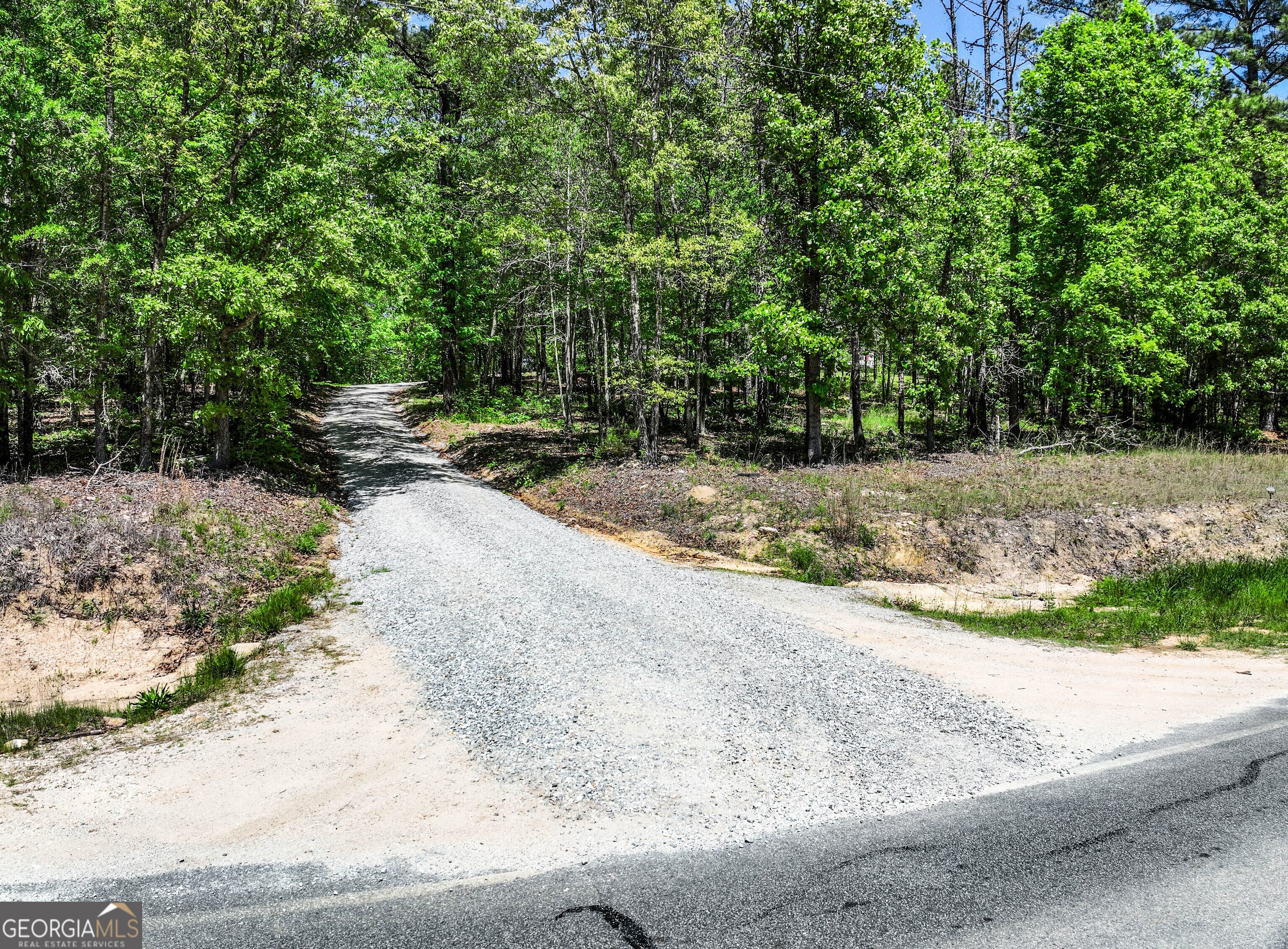 5280 Judge Brown Road Valley, AL 36854 - Photo 10 of 31