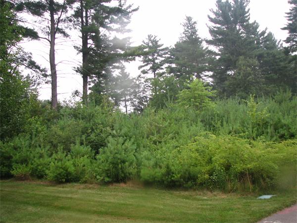51 Anderson Farm Road Hanover, MA 02339 - Photo 4 of 5 Gallery Image 4