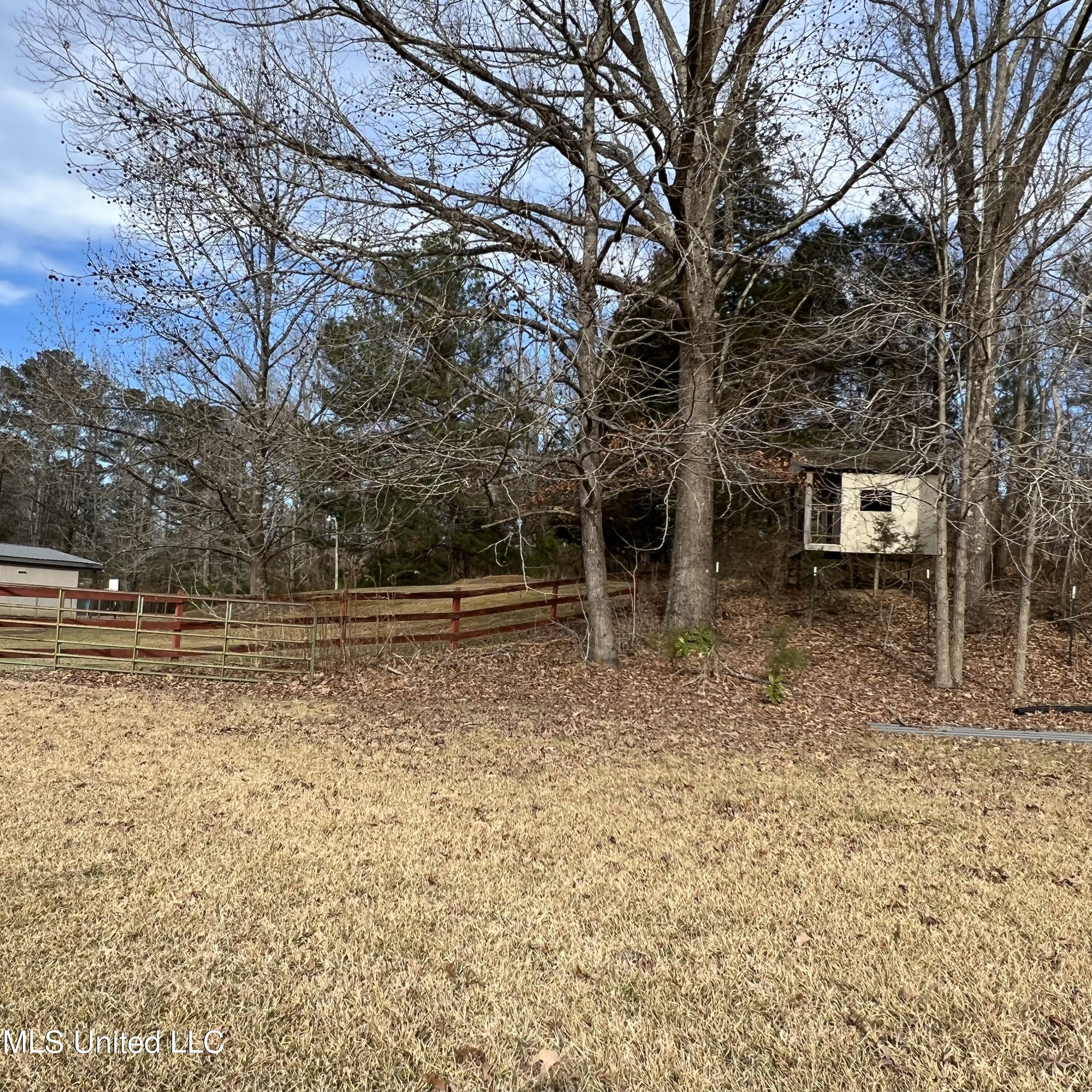5460 McIngvale Road Hernando, MS 38632 - Photo 3 of 14 IMG_8769